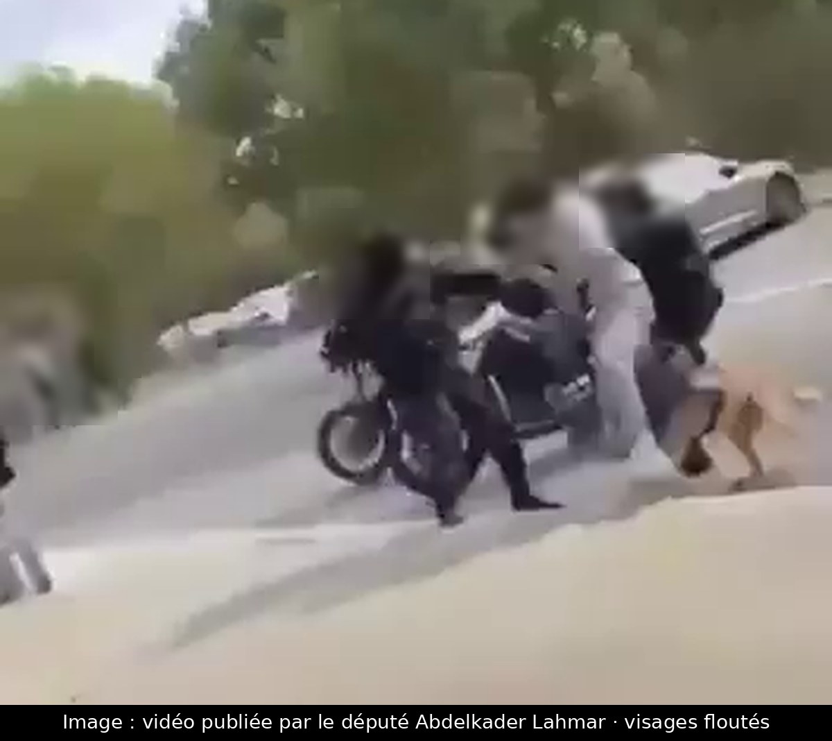 Image de la scène : Rillieux-la-Pape : un jeune interpellé au bord d'une route, en présence d'un chien policier ; un député saisit le procureur